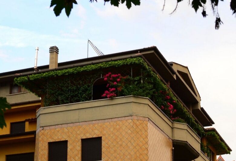 B&B Tribunale