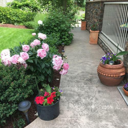 A Day's Dream B&B