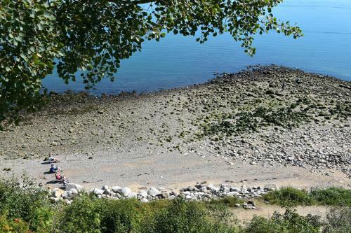 Motel Chalets Bo-fleuve Evangeline