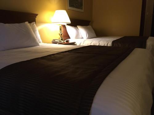 Motel Cofotel