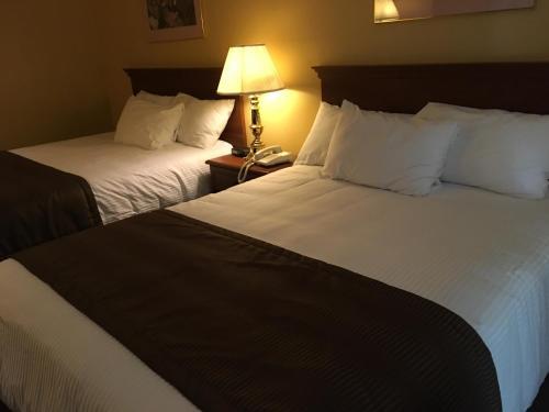 Motel Cofotel