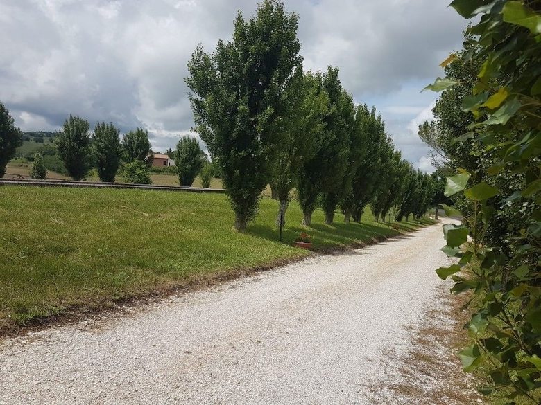 Agroturismo Villa Bice Agriturismo