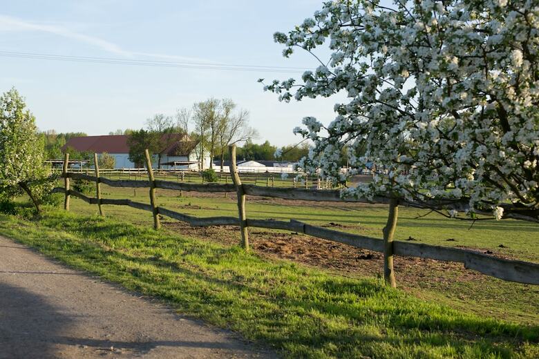 Agroturismo Zoopark Zel?�n