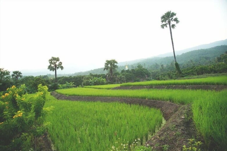 Hotel Suan Sook Homestay