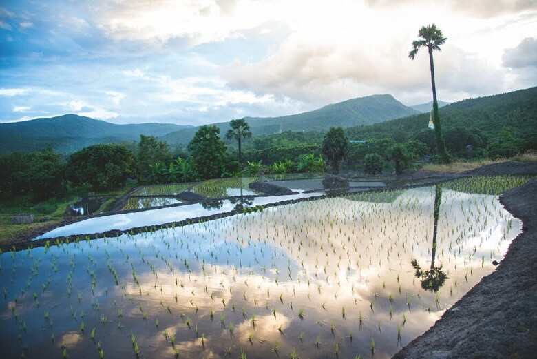 Hotel Suan Sook Homestay