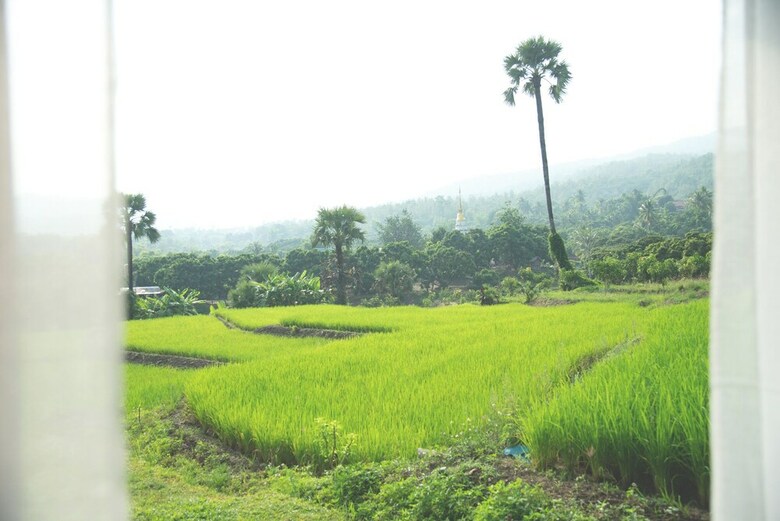 Hotel Suan Sook Homestay
