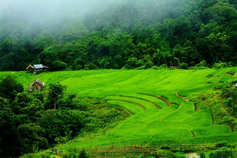Hotel Suan Sook Homestay
