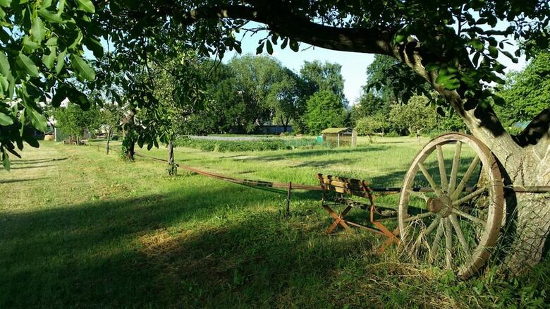 Hotel Nordic Spreewald