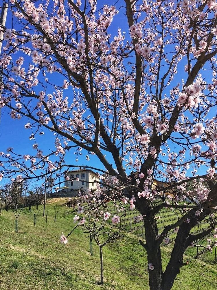 Bed & Breakfast Cascina Baresane