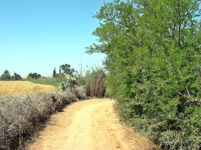 Villa Le Jardin Aux Etoiles