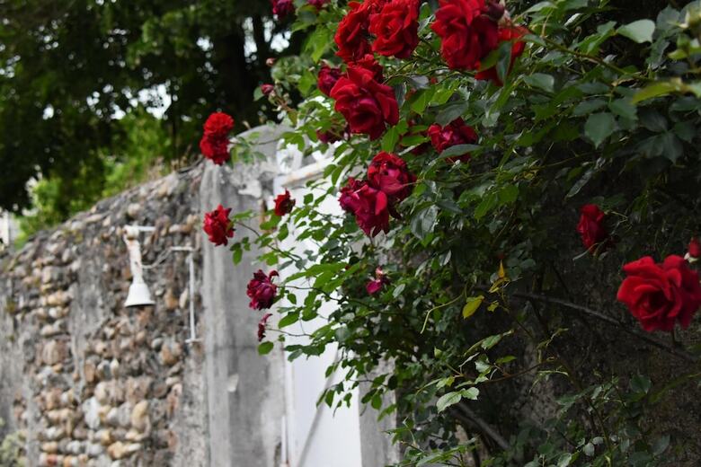 Hotel Villa Rh�na