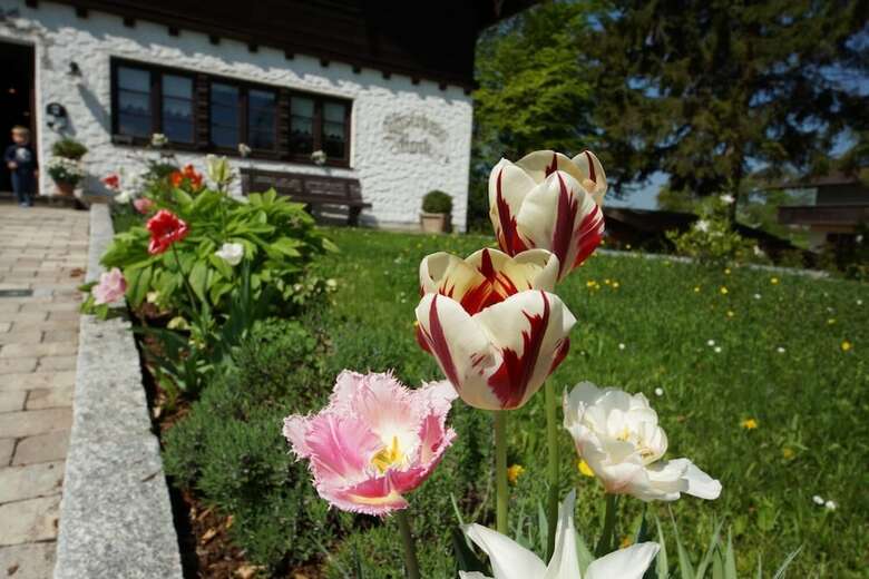 Hotel G�stehaus Funk