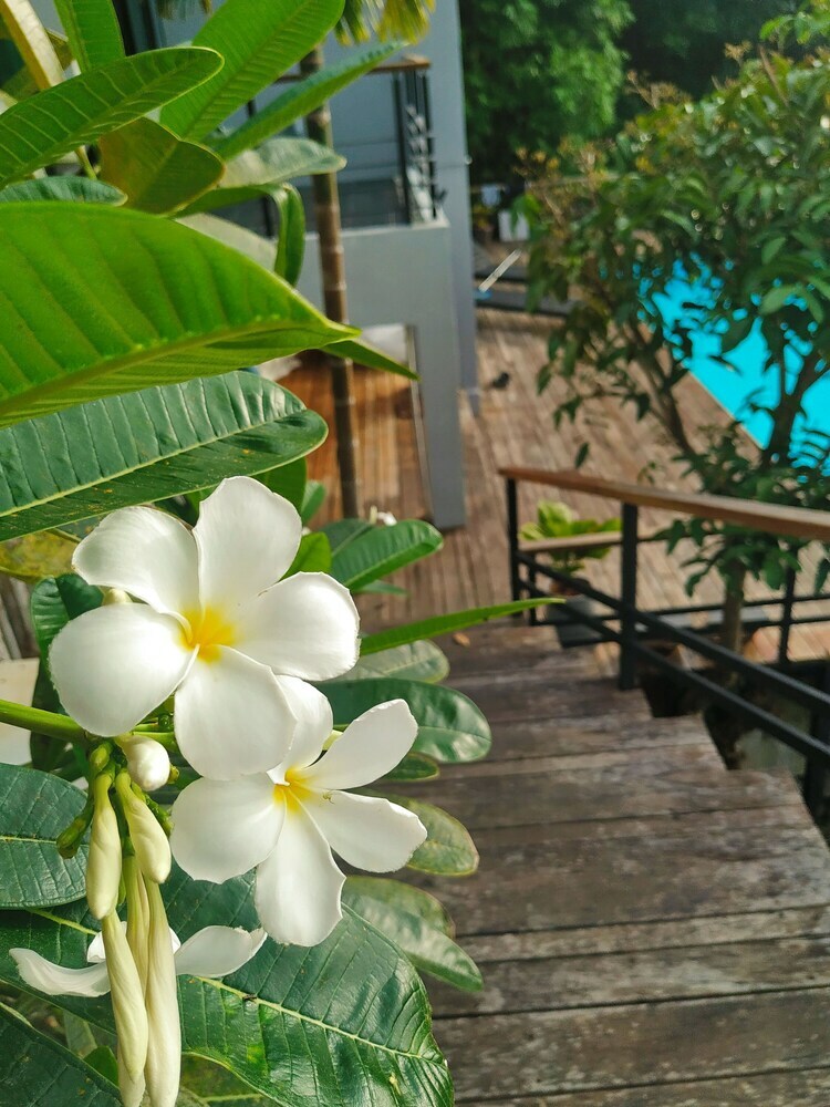 Hotel Ao Luek Panoramic Pool Villa