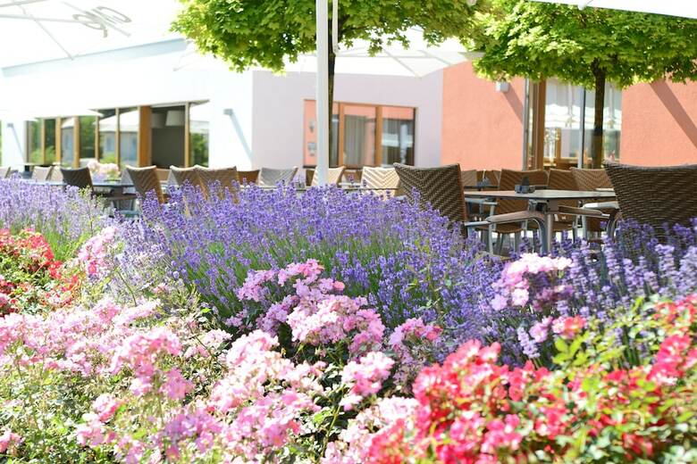 Hotel Weinkulturgut Longen-schl�der