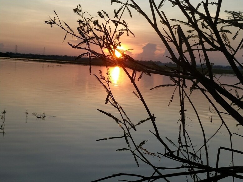 Hotel Moe Yun Gyi Wetlands Resort
