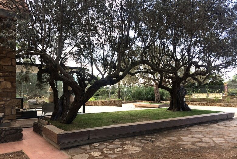 Bed & Breakfast La Collegiata