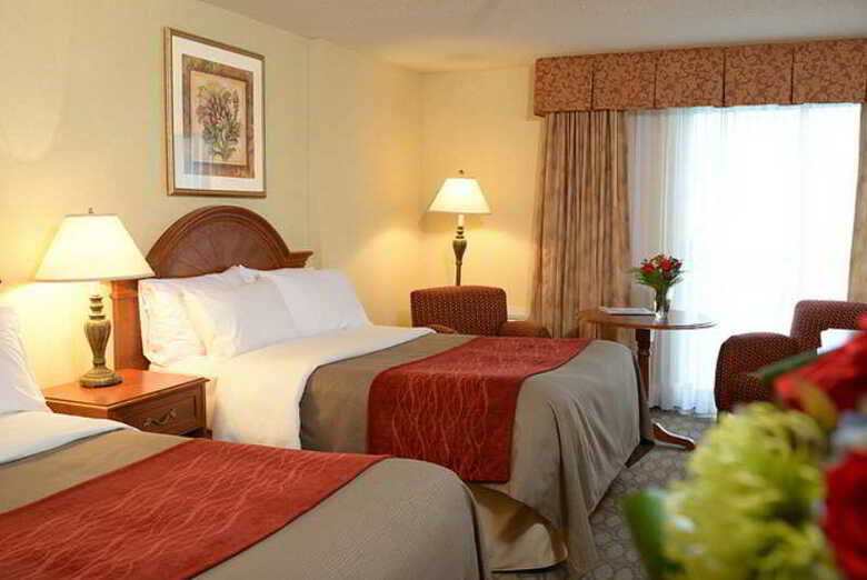 Hotel Comfort Inn Fallsview