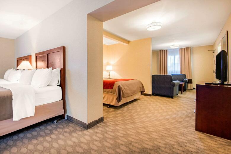 Hotel Comfort Inn Fallsview