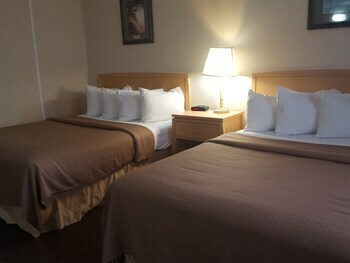 Hotel Quality Inn And Suites