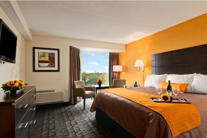 Ramada Plaza Niagara Falls Hotel