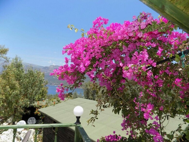 Hotel Nuri's Beach Bungalow