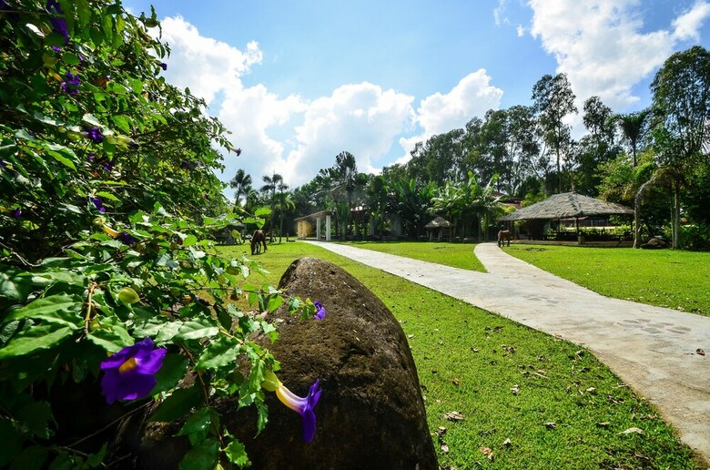 Hotel Nature's Village Resort