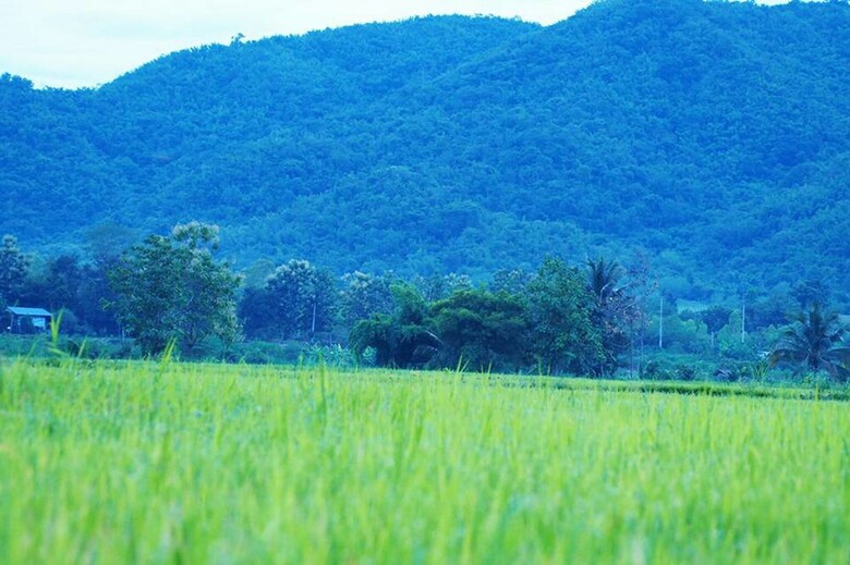 Hotel Le Kuna Farm Stay