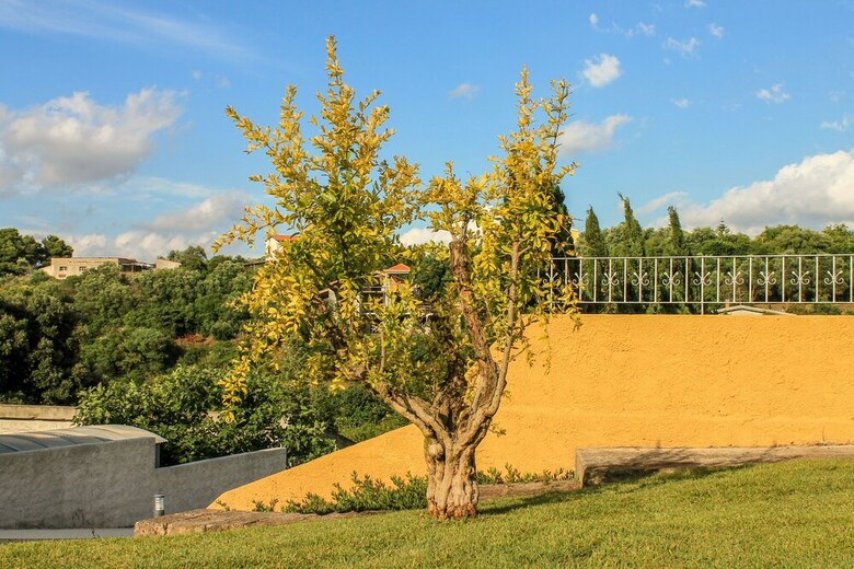 Villa Malvasio Refined B&B