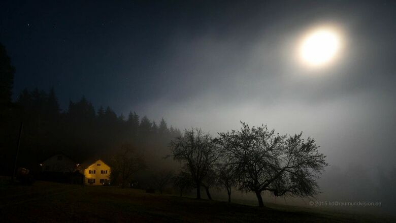Pension Haus Am Waldesrand