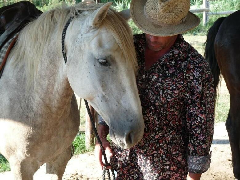 B&B Bergerie D'alivon En Camargue