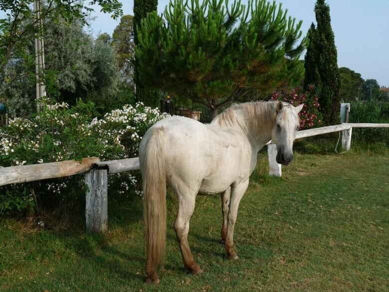 B&B Bergerie D'alivon En Camargue