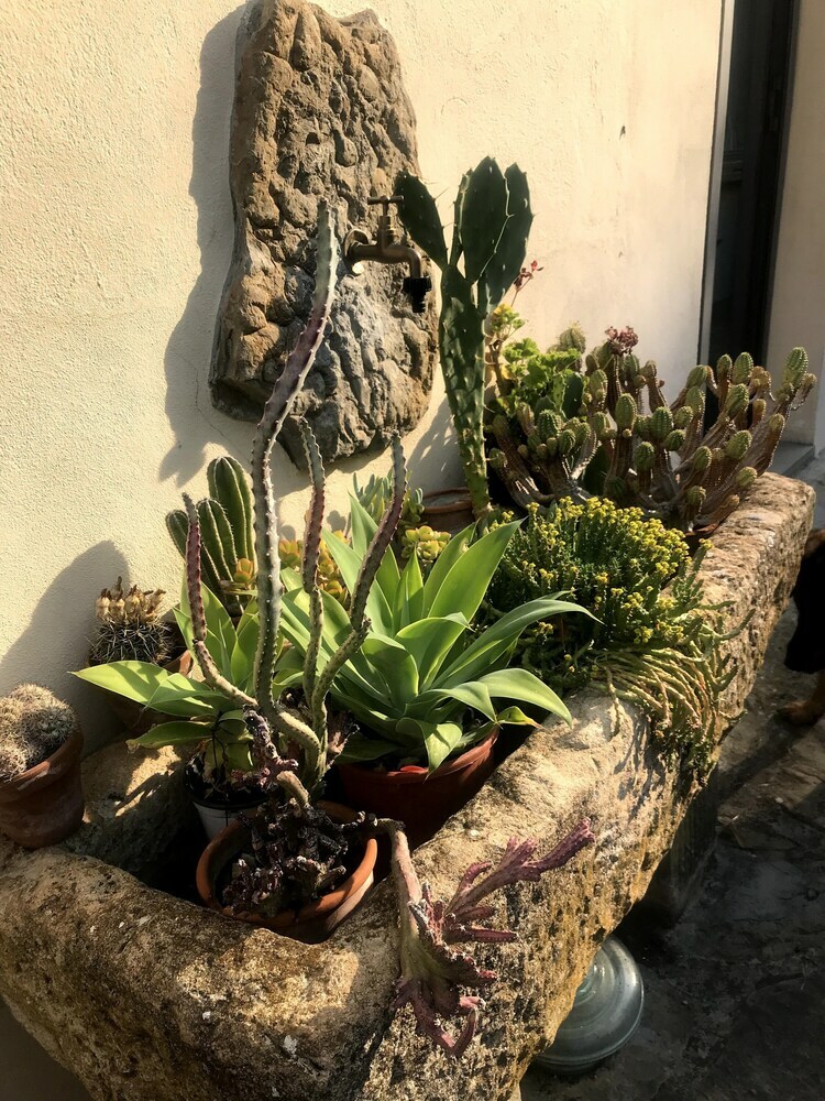 Agroturismo Il Pezzatino