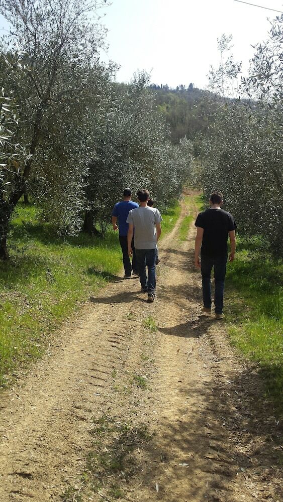 Agroturismo Il Pezzatino