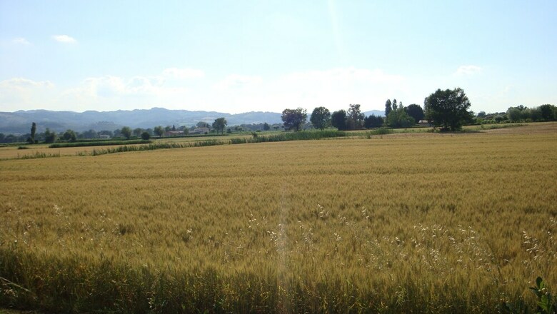 Fontecese Bed And Breakfast
