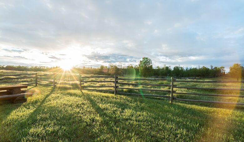 Meadow Lake Guest Ranch