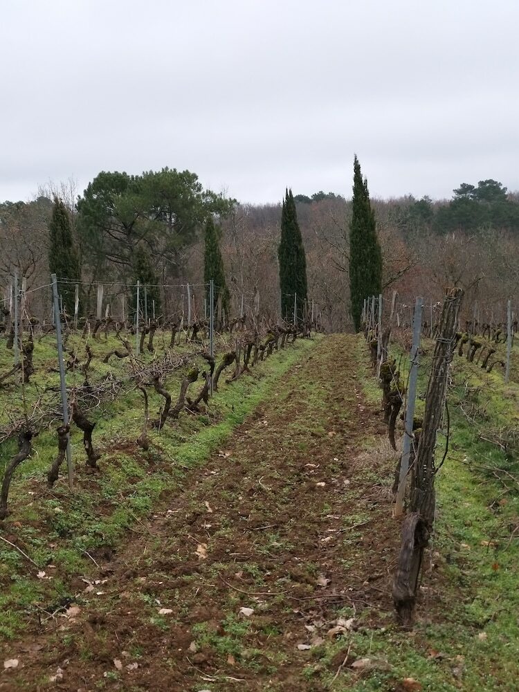 Hotel Ch�teau de Rouffiac Chambres D'h�tes Vignoble de Cahors