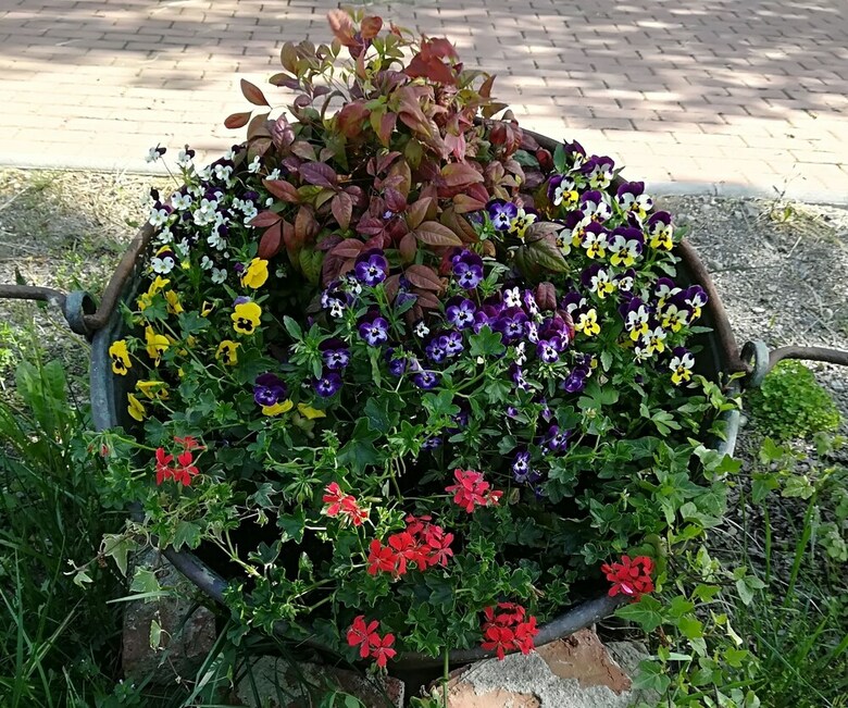 Agroturismo Cascina Moretta
