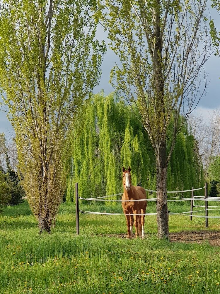 Agroturismo Cascina Moretta