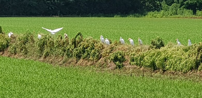 Agroturismo Cascina Moretta