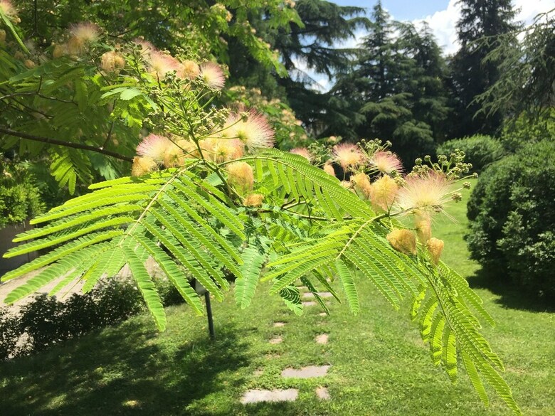 B&B Villa Al Parco
