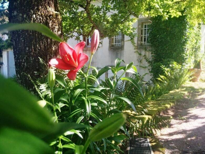 Hotel Chambres D'h�tes Le Prieur�