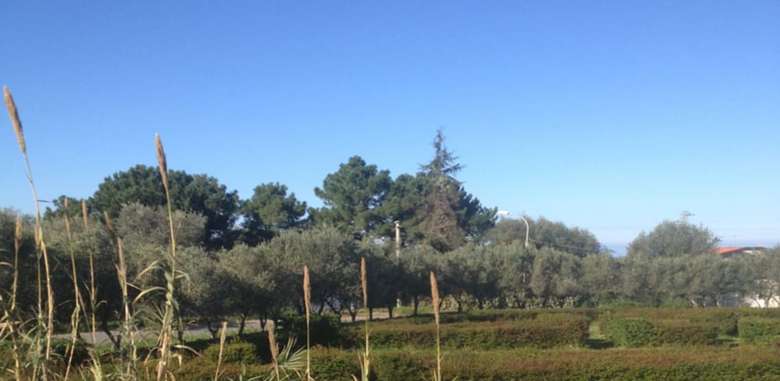 Bed & Breakfast Feudo Di Villa Anticaglia