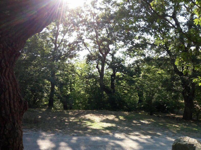 Posada Parco Dei Crisciuni Villaggio Camping