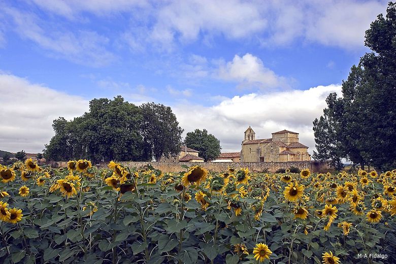 Agroturismo Finca Santa Eufemia