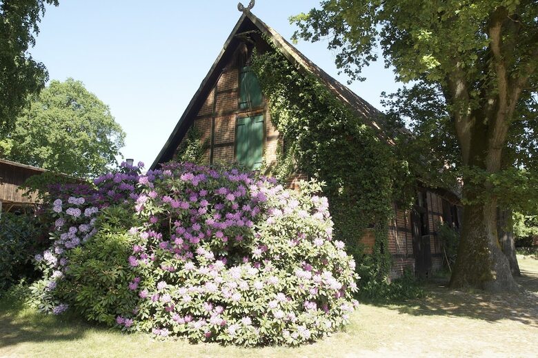 Apartamentos Ferienpension Lindenhof