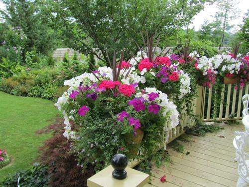Bedham Hall B&B