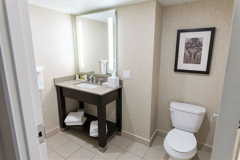 Hilton Hotel And Suites Niagara Falls/fallsview