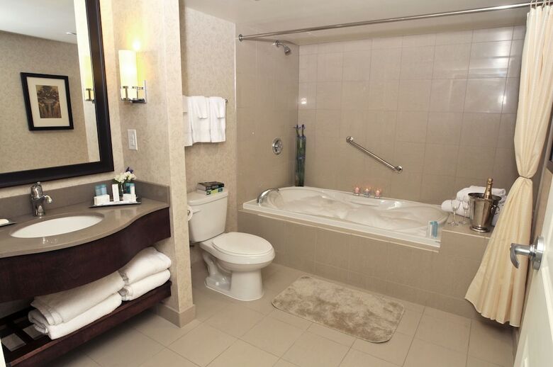Hilton Hotel And Suites Niagara Falls/fallsview