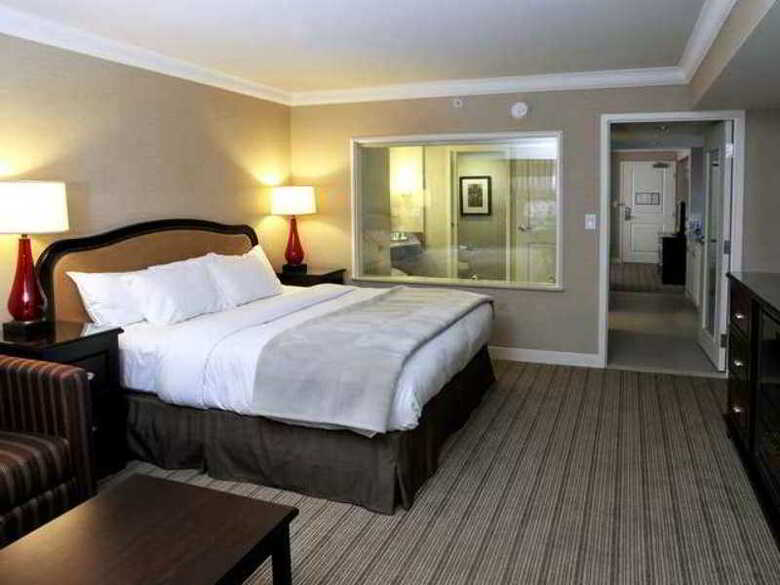 Hilton Hotel And Suites Niagara Falls/fallsview