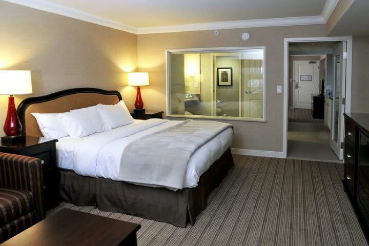 Hilton Hotel And Suites Niagara Falls/fallsview